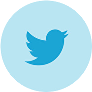 twitter_icon
